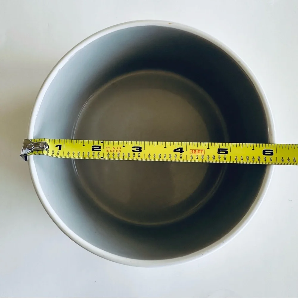 Rae Dunn CHOW DOWN Bowl - Picture 2 of 4